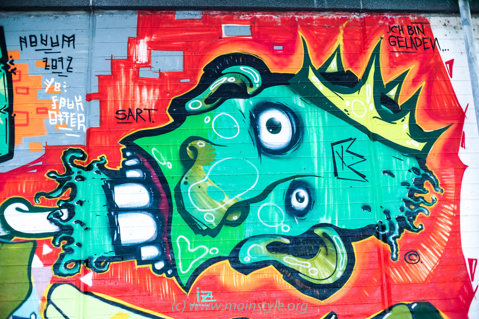 Frankfurt-Höchst_Graffiti_Süwag-Wall_2012 (10 von 35)