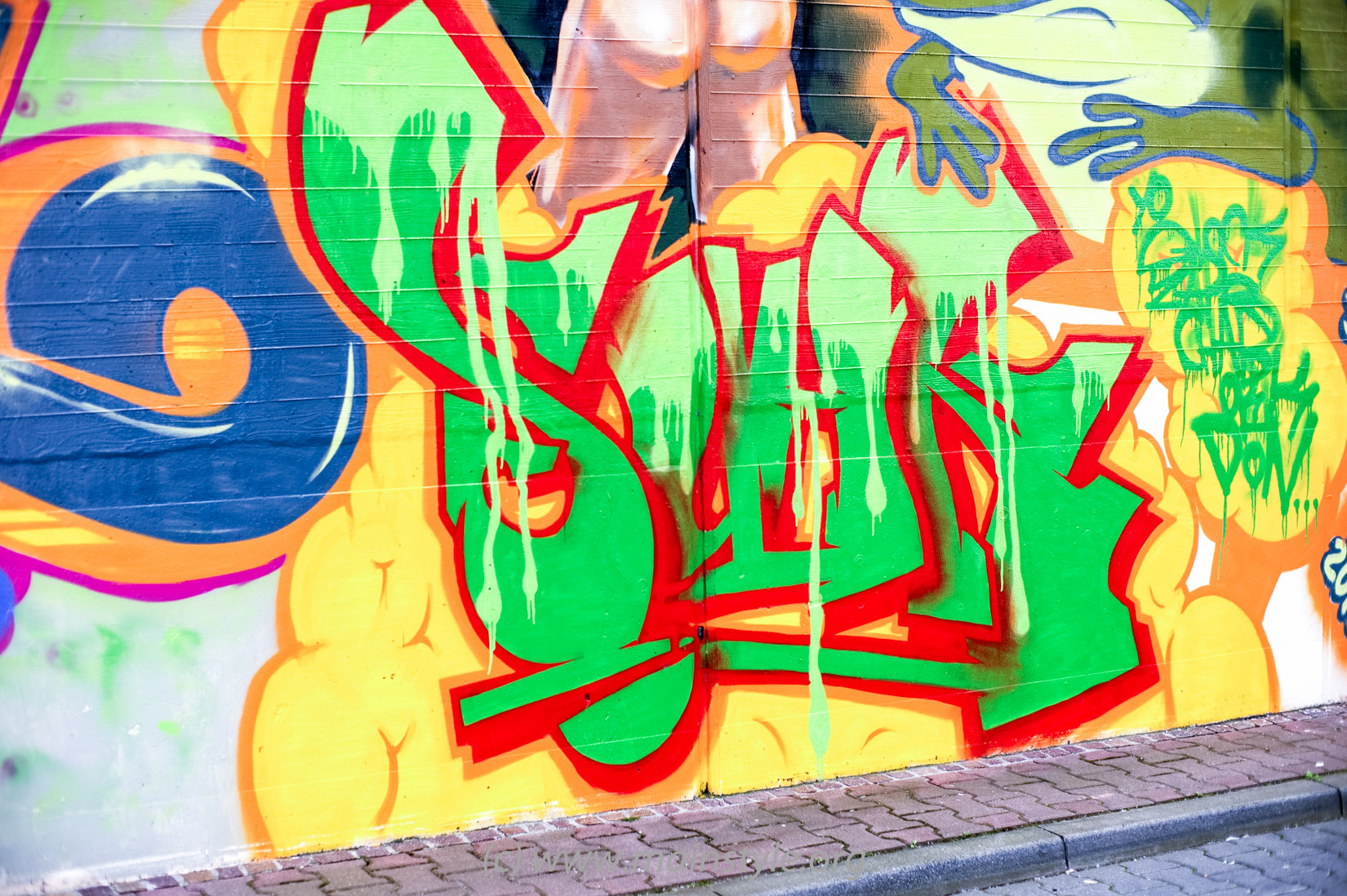 Frankfurt-Höchst_Graffiti_Süwag-Wall_2012 (35 von 35)