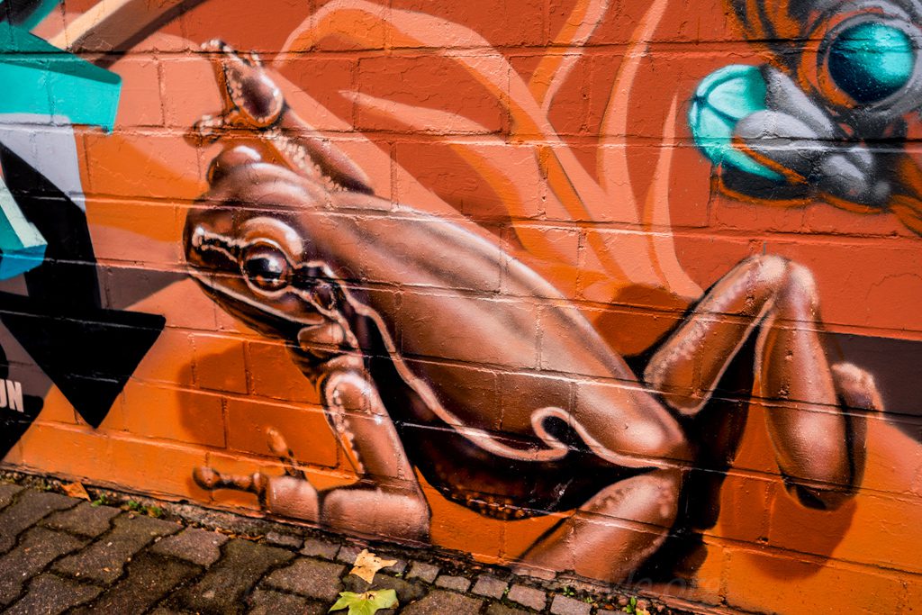 Frankfurt_Graffiti_HONSAR_SHOGUN_Mural-1040