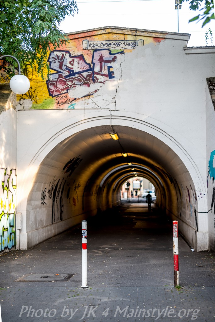 Graffiti_Offenbach_EGU_Tunnel_2015 (3 von 18)